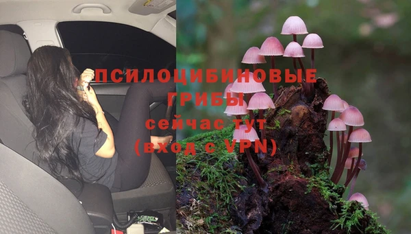 прущая мука Алексеевка