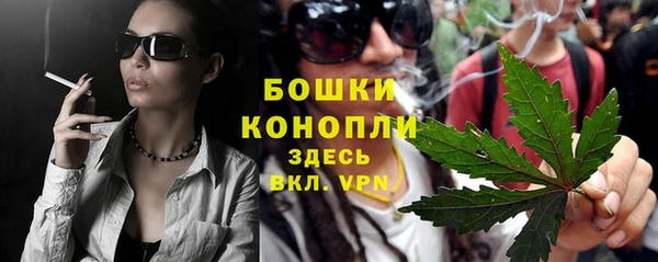 МДПВ Пересвет