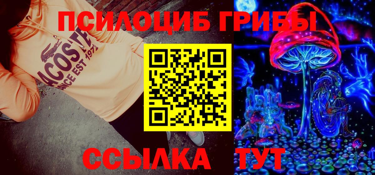 Прохладный  Галлюциногенные грибы Cubensis  Галлюциногенные грибы Magic Shrooms  Вход с VPN 