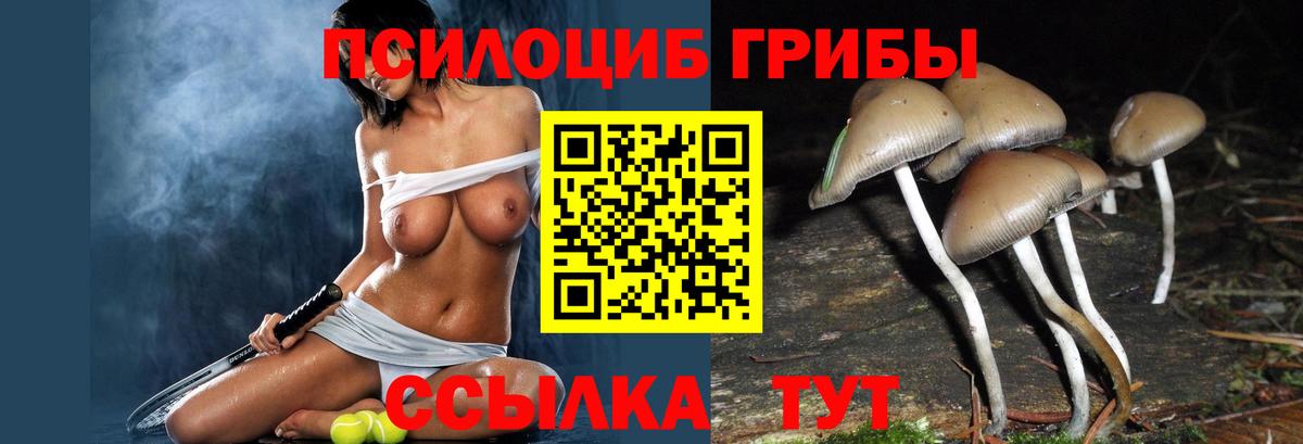 Галлюциногенные грибы мицелий Прохладный
